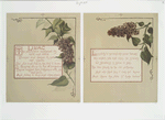 Flower fancies: calendar with text; depicting lilacs.