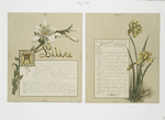 Flower fancies: calendar with text; depicting lilies and daffodils.