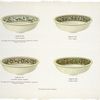 Decorated wash basins. Pear blossom, Wild aster, Japanese quince blossom and Bitter sweet.