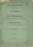 Die Mahlmühlen eine Darstellung des Baues und des Betriebes der gebraublichsten Mühlen ... [Title page].