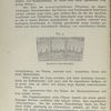 Fig. 3. Querschnitt durch Eichenholz.