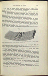 Fig. 7. Flader des Nadelholzes, der einzig und allein durch den Ringbau des Holzes zu Stande kommt, daher der einfachate ist.