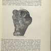 Fig. 9. Maserwuchs der Eiche.