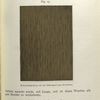 Fig. 15 Eichenholzimitation mit der Dillbohner'schen Porenwalze.