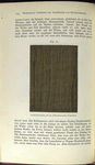 Fig. 16 Nussholzimitation mit der Dillbohner'schen Porenwalze.