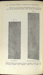Fig. 18. Eichenholzmaser. Fig. 19. Mit derselben Platte etwas gezogen.