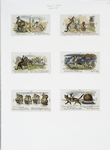 Christmas cards depicting cats dancing, playing music, taking photographs with camera, on rocking horse, reading books, watching puppet show.