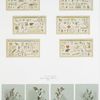 Christmas cards depicting rebus puzzle greetings. Easter cards depicting flowers and crosses.