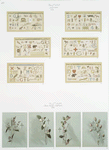 Christmas cards depicting rebus puzzle greetings. Easter cards depicting flowers and crosses.