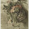 Wild Roses and Morning Glories.