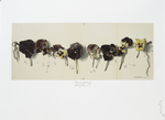 Bluebeard's Wives : Study of Pansies.
