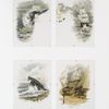 Driftwood Fire. [Depicting ships at sea, with super-imposed fire and fireplaces, and sinking ship.]