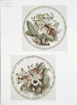 China Painting [depicting flowers.]