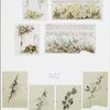 Easter cards depicting flowers with musical notation.