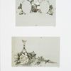 Marriage certificates depicting flowers.