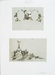 Marriage certificates depicting flowers.