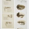 Jesus, Lover of My Soul [text with illustrations of the ocean, sailboats, trees.]