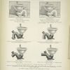Patent Flushing-Rim Hoppers.