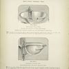 Mott's Patent 'Nonpareil' Basin.