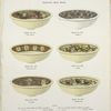 Decorated Wash Basins. # Design No. 707,363,616,684,356,685.