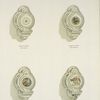 Decorated Porcelain Folding Urinals. Design # 1389,1392,1393,1355.