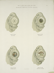 Decorated Porcelain Folding Urinals. Design # 1389,1392,1393,1355.