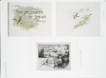 [The messenger of spring: cards depicting pastures, sky, dogwoods and robins.]