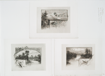 The messenger of spring: cards depicting flowers, birds, trees, mountains and rivers.