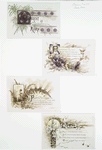Christ is risen: Easter cards with text; depicting flowers, plants, butterflies, the sun and decorative ornamentation.