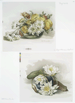 Two prints entitled 'chrysanthemums in glass bowl' and 'waterlilies in blue jar.'