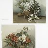 Two prints entitled 'wild azaleas' and 'Japan quince #2.'