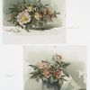 Two prints entitled 'wild roses #3' and 'wild roses #4.'