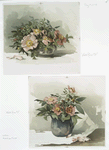 Two prints entitled 'wild roses #3' and 'wild roses #4.'