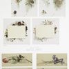 Christmas and Easter cards depicting women, snapdragons, pansies, roses, carnations and violets.