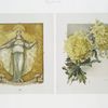 [The golden flower: prints depicting yellow flowers with the word 'Kioto,' a woman with long golden hair and cape surrounded by golden flowers and the sun with a banner reading 'Princess Golden Flower.']