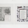 [The golden flower: cards titled 'Kioto' and 'Neesima' with text by Margaret Deland and Edith M. Thomas; depicting flowers, stars, candles, sun, moon and decorative ornamentation.]