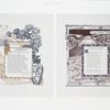 [The golden flower: cards titled 'Peter the great' and 'to the John Thorpe' with text by Edith M. Thomas and Kate Upson Clark; depicting a vase, flowers, a volcano, lava, planets, stars, the sun and decorative design.]