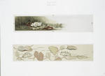 Water-lilies.