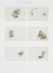 Auld lang syne: cards depicting girls gathering flowers, birds, butterflies and a bee.