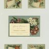 Trade cards and labels depicting flowers.