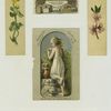 Trade cards from the Centennial Exhibition with botanical illustrations and depictions of a woman standing at a stream with a pitcher, an eagle, a medal and Hecker's flours.