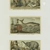 Trade cards depicting boys using : a sewing machine to make clothes, a thread and needle to harpoon a whale, thread to capture an elephant ; the cards have these words : Babes can run the new no. 8 Wheeler & Wilson sewing machine ; A new use for 'Barbour's linen thread' ; See what can be done with Willimantic six cord spool cotton.