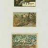[Trade cards depicting a painter, a bull charging at an easel, a tropical environment, birds, flowers, palm trees, a thatched roof dwelling, spice plants, mustard, all spice, cloves, cinnamon, ginger, pepper, cayenne pepper, nutmeg, and mace.]