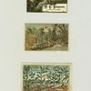 Trade cards depicting a painter, a bull charging at an easel, a tropical environment, birds, flowers, palm trees, a thatched roof dwelling, spice plants, mustard, all spice, cloves, cinnamon, ginger, pepper, cayenne pepper, nutmeg, and mace.