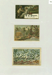 Trade cards depicting a painter, a bull charging at an easel, a tropical environment, birds, flowers, palm trees, a thatched roof dwelling, spice plants, mustard, all spice, cloves, cinnamon, ginger, pepper, cayenne pepper, nutmeg, and mace.