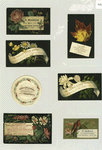 Trade cards depicting flowers, birds and autumn foliage.