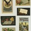 Trade cards depicting flowers, autumn foliage, acorns, books, an eagle, corn, a woman clothed in a patriotic dress and hat, boxes of corn starch and silver gloss starch.