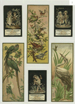 Trade cards depicting birds, a nest, an insect, a man carrying a woman across a stream, a bride and groom ; verso depicts gloves, fans, dolls and doll outfits.