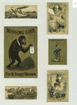 Trade cards depicting a monkey, boat race, couple fishing from a rowboat, a gun, climbing fences, stealing fruit and a dog chasing boys.