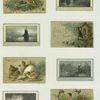 Trade cards depicting sailboats, a deer, flowers, ocean waves, chicks, birds, a birdhouse, a girl feeding birds, a bee, a butterfly and a stream in a forest ; Versos depicting coins.